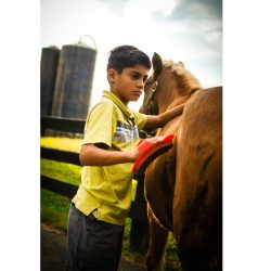 boy-and-horse-farm-life-photos